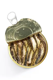 Drucke von Russische Sardinen in Dosen Sprotte Drucke: Russische Sardinen in Dosen
