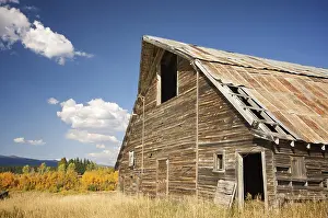 Dark Blue Skies Drucke: Rustic barn scene with deep blue sky and clouds