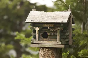 Italian Stone Pine Landscape Drucke: Rustic birdhouse amongst pine trees