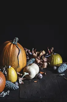 Wooden Surface Decor Drucke: A rustic display of assorted pumpkins in warm tones