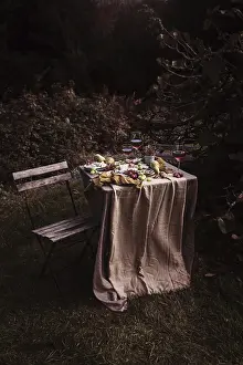Outdoor Picnic Setup Drucke: A rustic outdoor table set with an array of snacks
