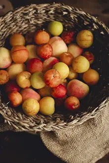 Fresh Fruit Basket Drucke: A rustic woven basket overflows with fresh