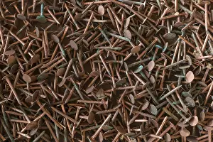 Uninhabited Metal Landscape Drucke: Rusty copper nails