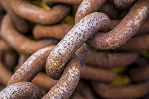 Rusty Metal Chain Drucke: Rusty large metal chain