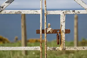 Deserted Entrance Drucke: A rusty padlock on a closed gate