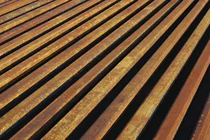 Rusty Railroad Tracks Drucke: Rusty rails lined-up close as background perspective