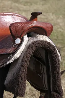 Equestrian Sports Equipment Drucke: Saddle