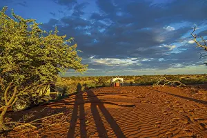 Namibia Drought Drucke: Safari