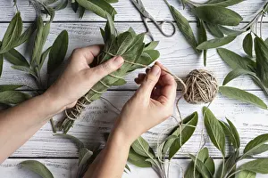Castle Architecture Drucke: Sage leaf bundle in hands, hemp string and scissors on old wooden table