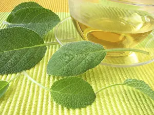 Herbal Tea Drucke: Sage tea