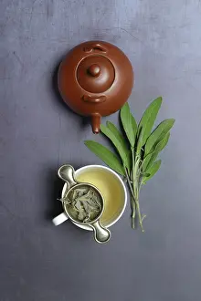 Natural Remedy Drucke: Sage tea in cup with tea strainer