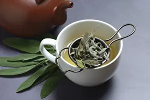 Natural Remedy Drucke: Sage tea in cup with tea strainer