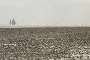Ecofriendly Wind Energy Plant Drucke: A sailing ship sails in the distance