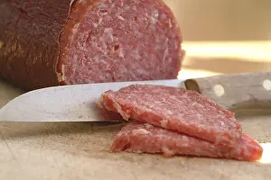 Sausage Nutrition Facts Drucke: Salami