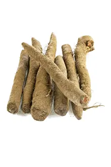 Empty Studio Backgrounds Drucke: Salsify