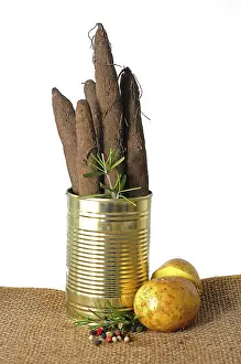 Kitchen Herb Spice Plant Drucke: Salsify roots in a tin