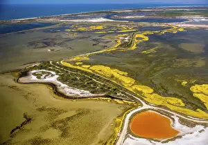 Southern Europe Salt Production Drucke: Salt patterns on the surface of salt marshes