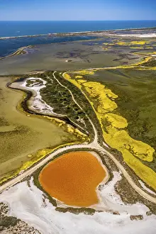Salt Marshes Europe Drucke: Salt patterns on the surface of salt marshes