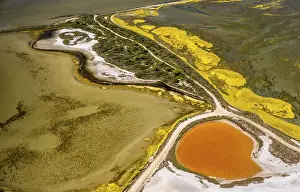 Southern European Landscapes Drucke: Salt patterns on the surface of salt marshes