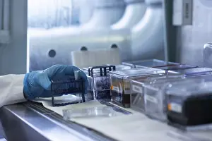 Medical Examination Process Drucke: Sample processing with laboratory equipment in a histology laboratory