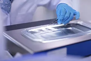 Medical Examination Process Drucke: Sample processing with laboratory equipment in a histology laboratory