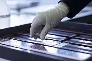 Histology Laboratory Equipment Drucke: Sample processing with laboratory equipment in a histology laboratory