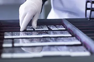 Histology Laboratory Equipment Drucke: Sample processing with laboratory equipment in a histology laboratory