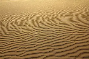 Empty Desert Drucke: Sand in desert, background