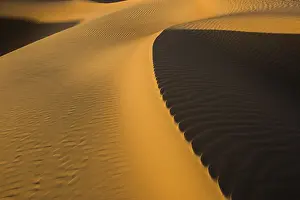 Empty Quarter UAE Drucke: Sand dune crest, light and shadow