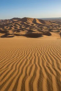 Desert Sand Dunes Drucke: Sand dunes in the desert, wave patterns in the sand