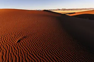 Desert Evening Light Drucke: Sand dunes in the evening light