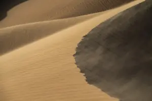 Windy Sand Dune Scene Drucke: Sand dunes in the evening light