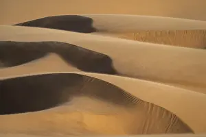 Drucke von Ein atemberaubendes Bild der Namib-Wüste, wo sich die Dünen im Abendlicht wie goldene Berge erheben Kulturerbestätten Drucke: Wind bewegt Sand über die Dünen bei Sonnenuntergang in Sandwich Harbour
