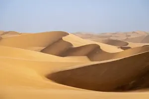 African Nature Reserve Drucke: Sand dunes in the evening light