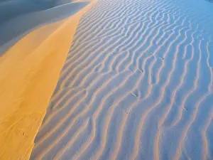 Desert Evening Light Drucke: Sand dunes, evening light, patterns