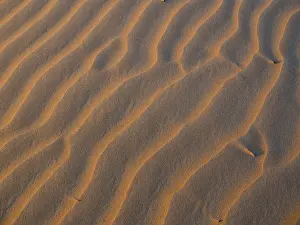 Atmospheric Desert Scene Drucke: Sand dunes, evening light, patterns