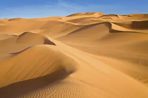 Sahara Desert Dunes Drucke: Sand dunes in the Libyan desert