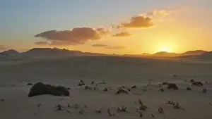 Evening Atmosphere Europe Drucke: Sand dunes, sparse vegetation, evening light