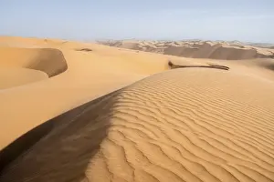 Barren Desert Landscapes Namibia Drucke: Sand dunes with wave patterns, Dune Sea