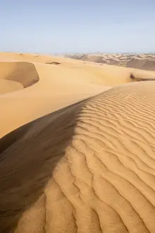 Drucke von Welleartige Sanddünen im Dune Sea, Namib-Naukluft-Nationalpark, Namib-Wüste, Namibia Kulturerbestätten Drucke: Welle-Muster im Dünenmeer, Namib-Naukluft-Park, Namib-Wüste, Namibia