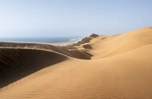 Sand Dunes Evening Light Drucke: Sand dunes with wave patterns and sea in evening light