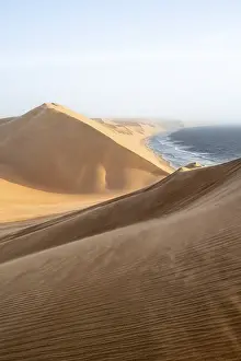 Sand Dunes Evening Light Drucke: Sand dunes with wave patterns and sea in evening light