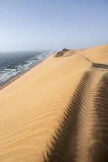 Sand Dunes Evening Light Drucke: Sand dunes with wave patterns and sea in evening light