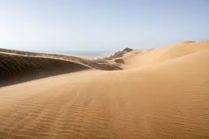 Windy Desert Scene Drucke: Sand dunes with wave patterns and sea in evening light
