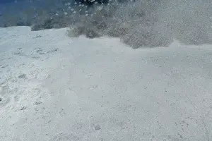 Atlantic Ocean Wildlife Drucke: Sand and particles float in the water