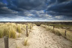 Cloudy Sky Netherlands Drucke: Sand path to dunes and cloudy sky