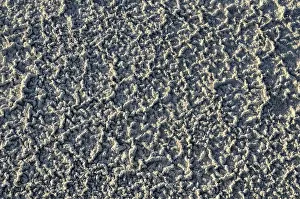 American Desert Scene Drucke: Sand pattern with salt deposits