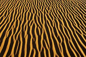 Full Frame Desert Scene Drucke: Sand patterns on a dune, In Tehak region