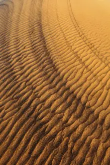 Sand Dune Patterns Drucke: Sand patterns on the surface of a dune