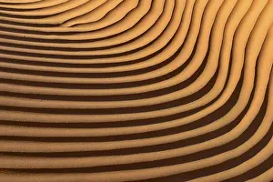 Empty Quarter Landscape Drucke: Sand ripples, structure on a sanddune